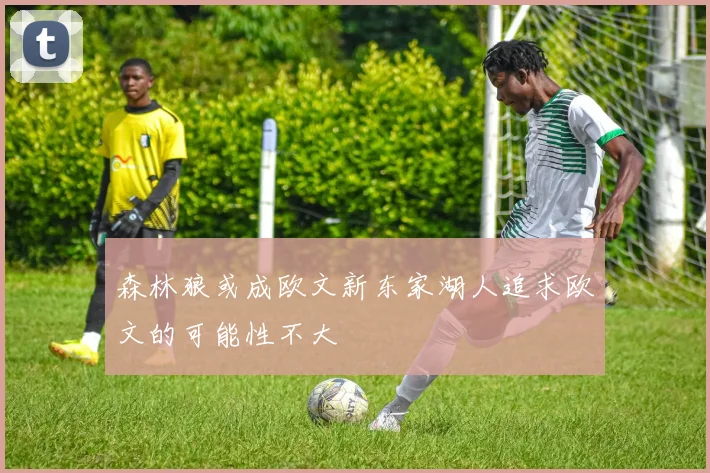 森林狼或成欧文新东家湖人追求欧文的可能性不大
